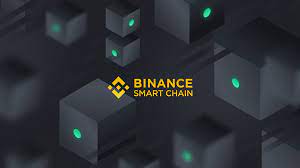 Binance Smart Chain Staking