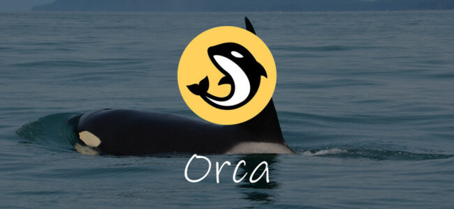 ORCA DEFI